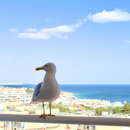 Apartment Les 3 Dauphins In Αλμπουφέιρα Εξωτερικό φωτογραφία