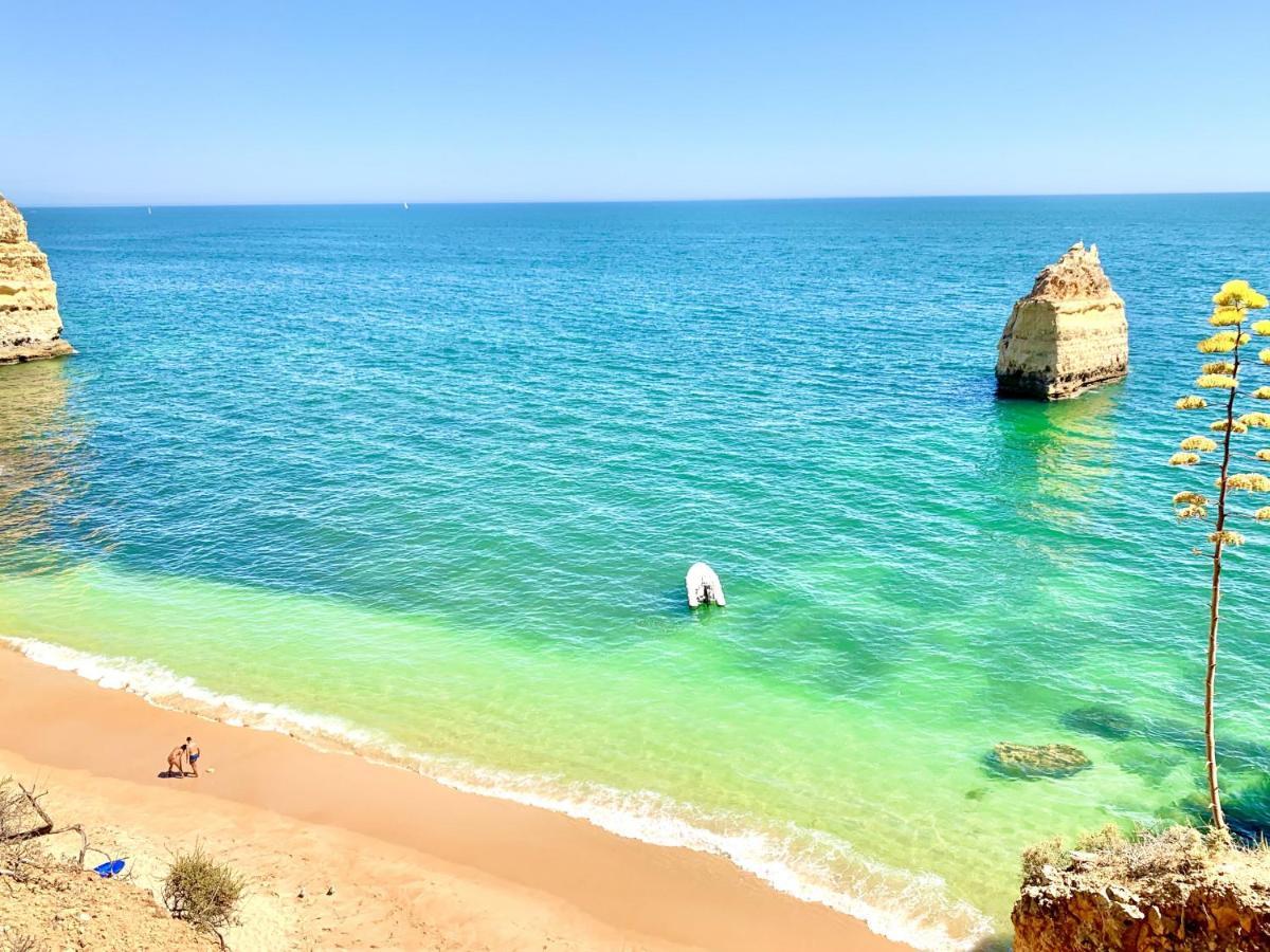 Apartment Les 3 Dauphins In Αλμπουφέιρα Εξωτερικό φωτογραφία
